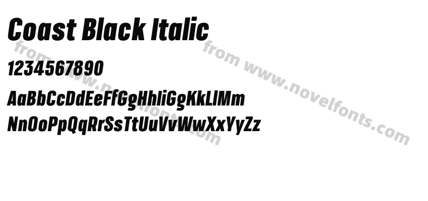 Coast Black ItalicPreview