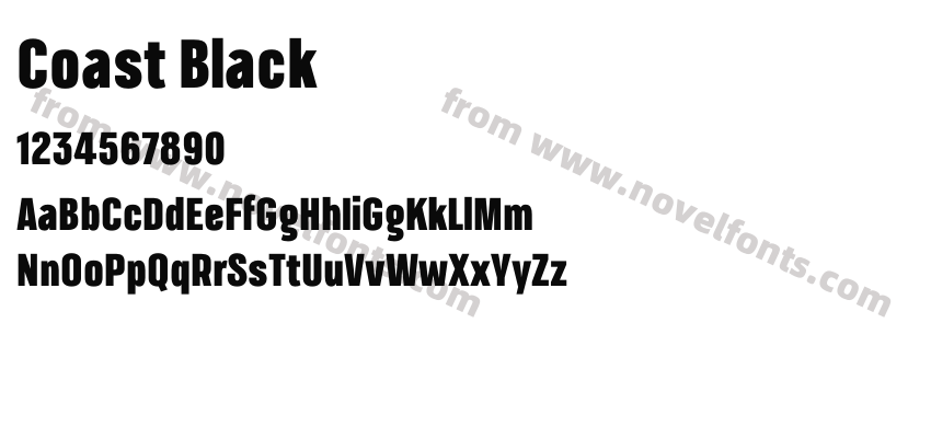 Coast BlackPreview