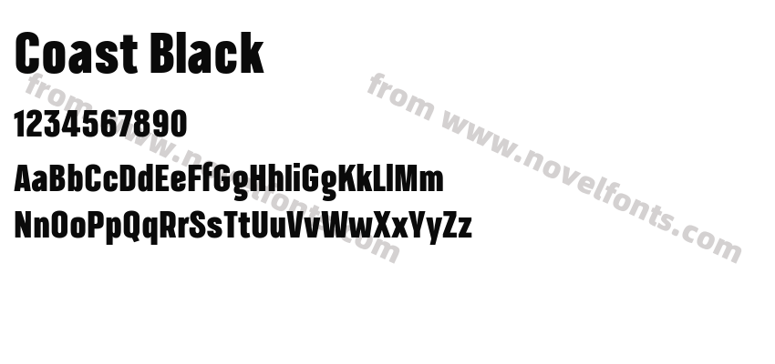 Coast BlackPreview