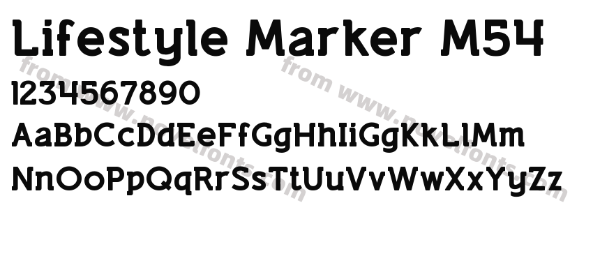 Lifestyle Marker M54Preview