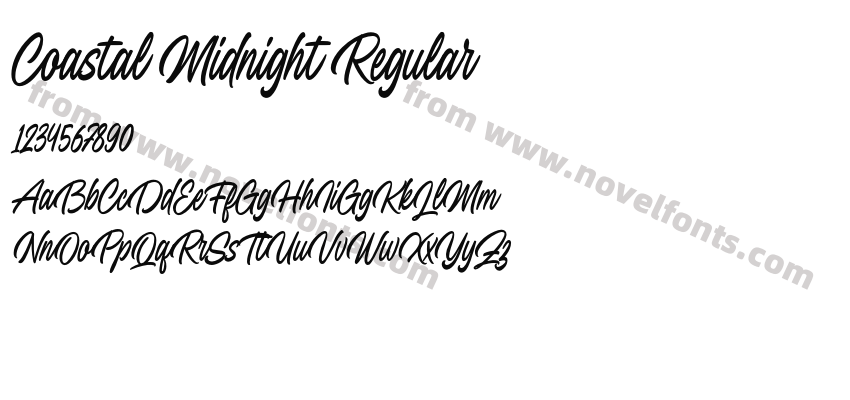 Coastal Midnight RegularPreview