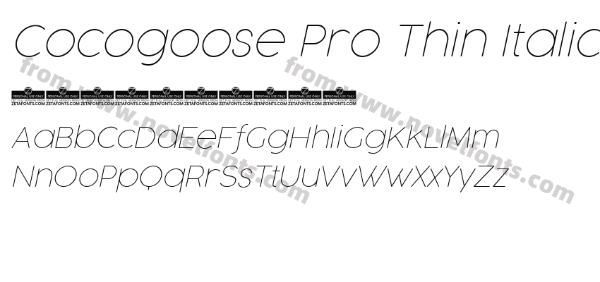 Cocogoose Pro Thin ItalicPreview