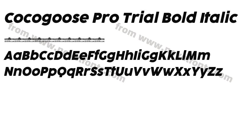 Cocogoose Pro Trial Bold ItalicPreview
