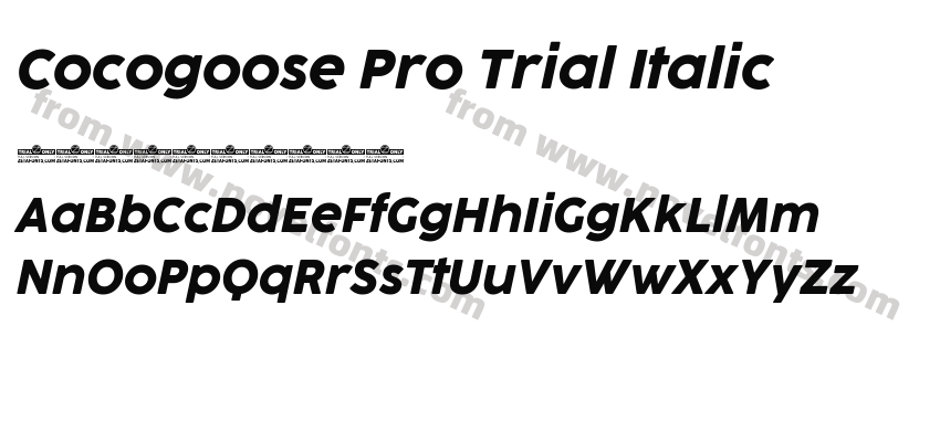 Cocogoose Pro Trial ItalicPreview