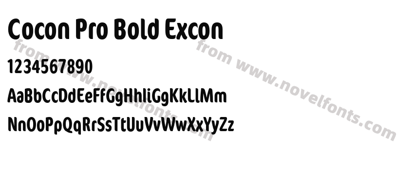 Cocon Pro Bold ExconPreview