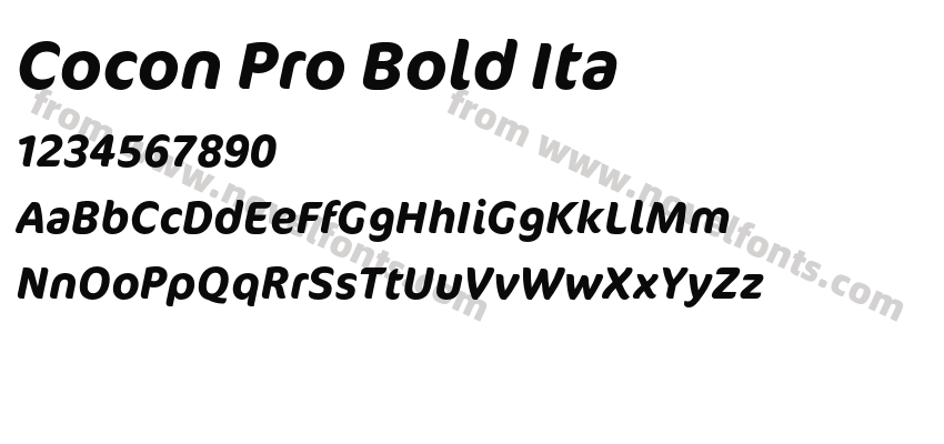 Cocon Pro Bold ItaPreview
