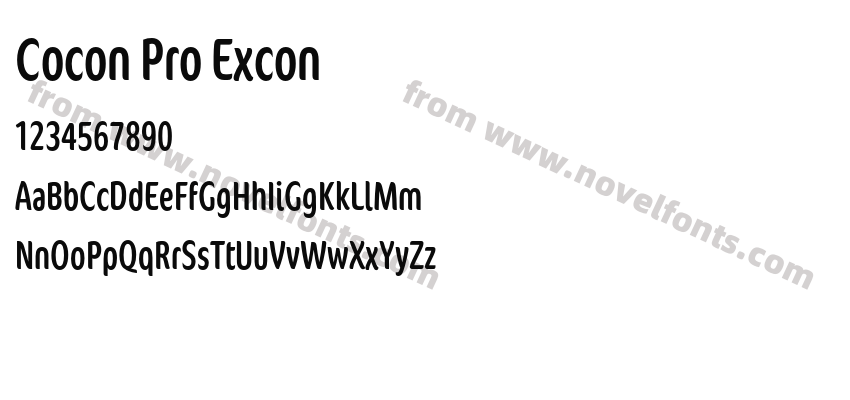 Cocon Pro ExconPreview