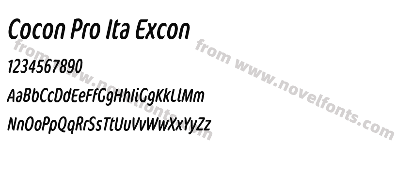 Cocon Pro Ita ExconPreview