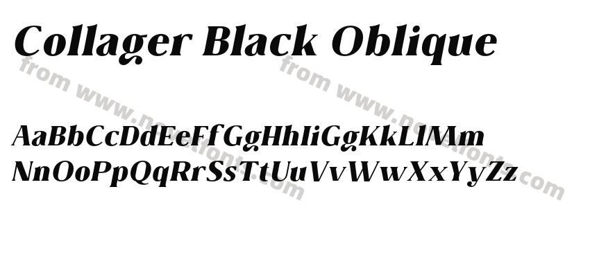 Collager Black ObliquePreview