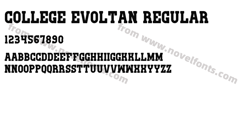 College Evoltan RegularPreview