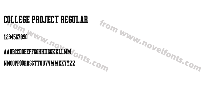 College Project RegularPreview