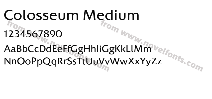 Colosseum MediumPreview