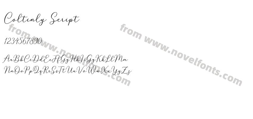 Coltinly ScriptPreview