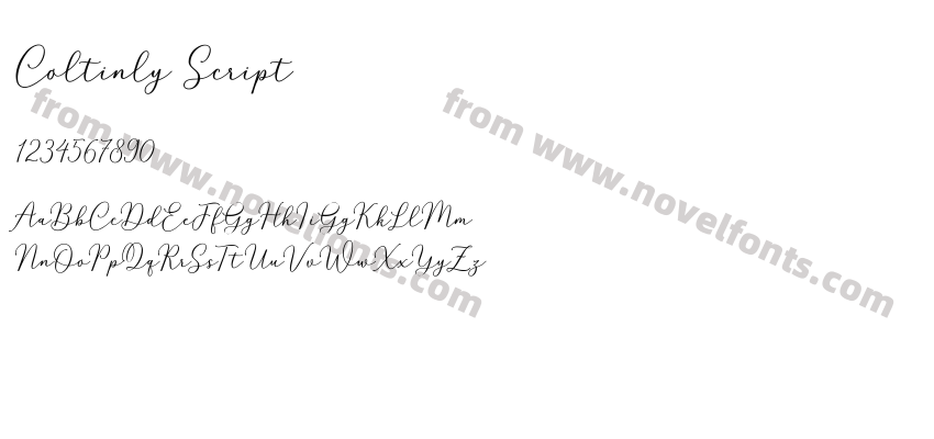 Coltinly ScriptPreview