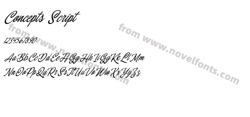 Concepts ScriptPreview