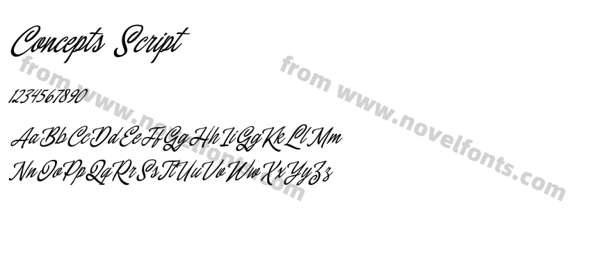Concepts ScriptPreview