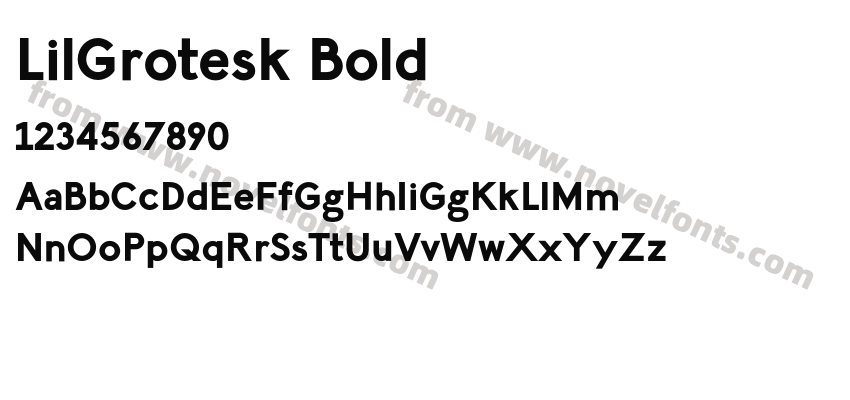 LilGrotesk BoldPreview