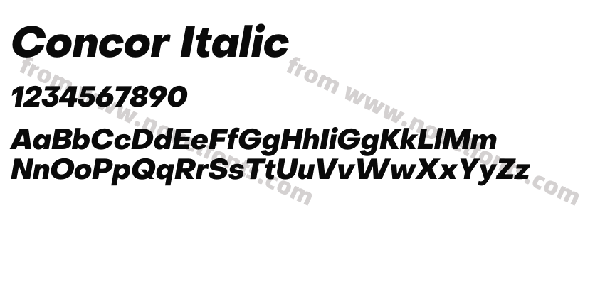 Concor ItalicPreview