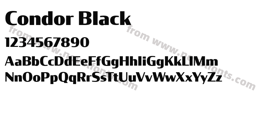 Condor BlackPreview