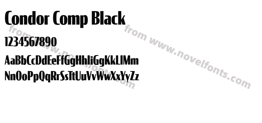 Condor Comp BlackPreview