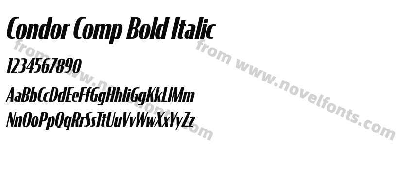Condor Comp Bold ItalicPreview