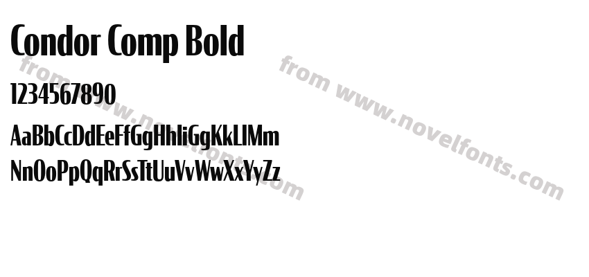 Condor Comp BoldPreview