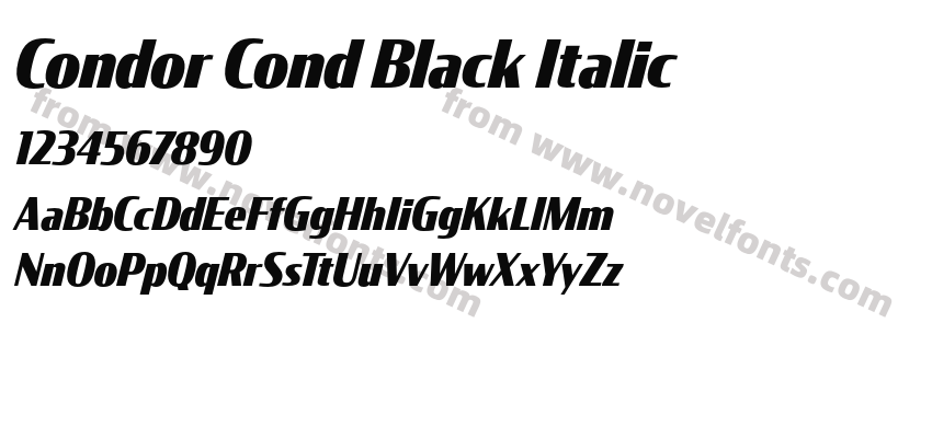 Condor Cond Black ItalicPreview