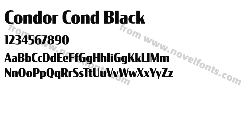Condor Cond BlackPreview