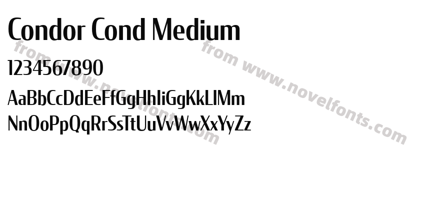 Condor Cond MediumPreview