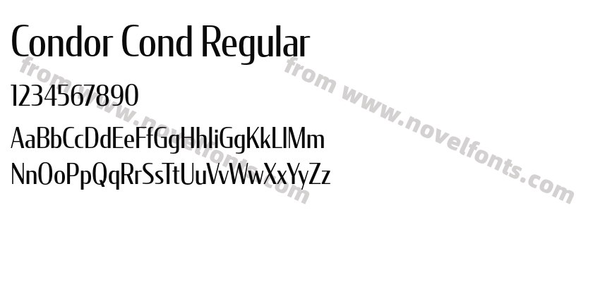 Condor Cond RegularPreview