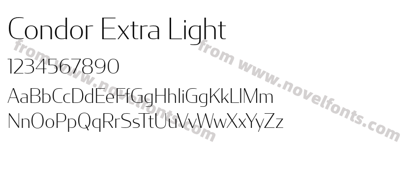 Condor Extra LightPreview