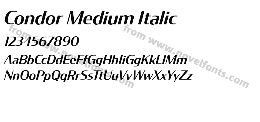 Condor Medium ItalicPreview