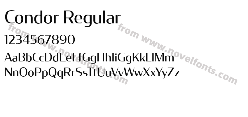 Condor RegularPreview