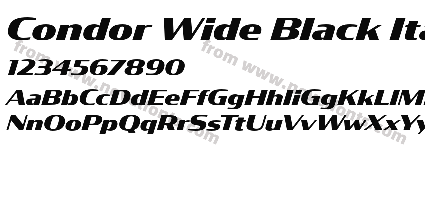 Condor Wide Black ItalicPreview