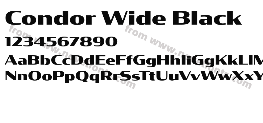 Condor Wide BlackPreview