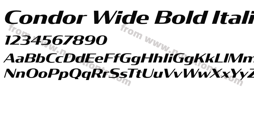 Condor Wide Bold ItalicPreview