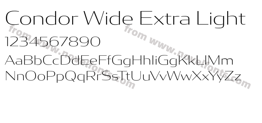 Condor Wide Extra LightPreview
