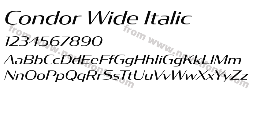 Condor Wide ItalicPreview