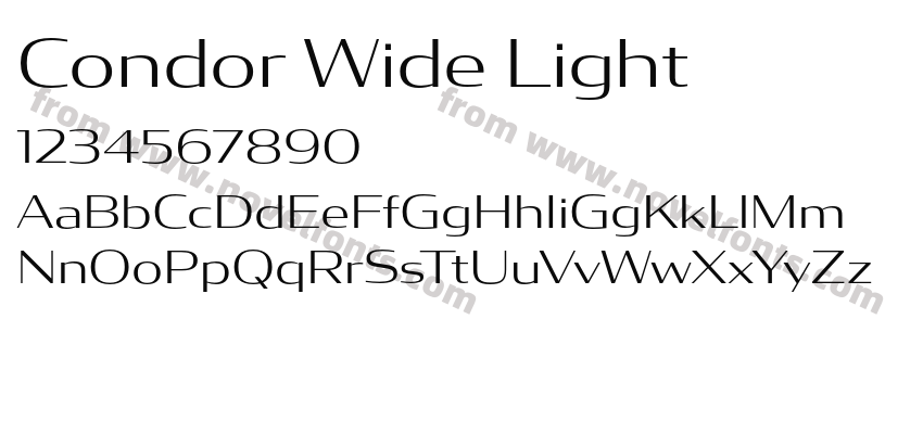 Condor Wide LightPreview