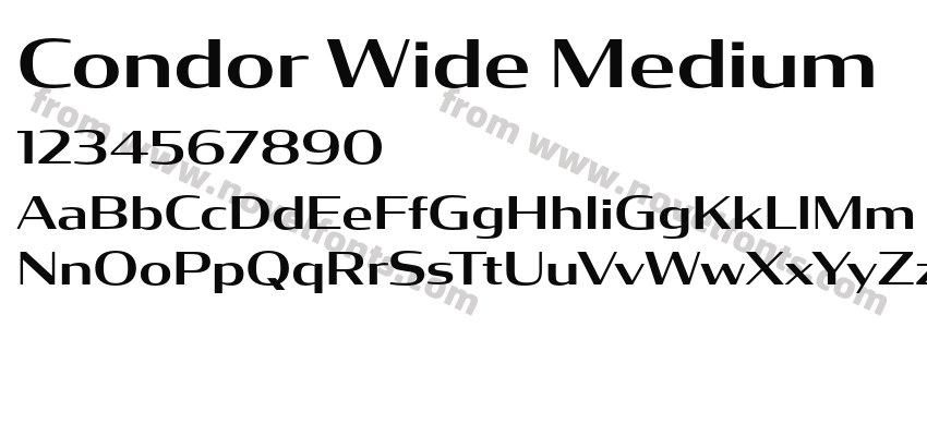 Condor Wide MediumPreview