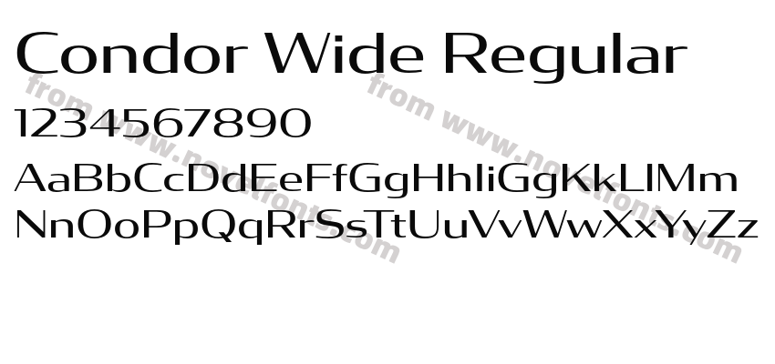 Condor Wide RegularPreview