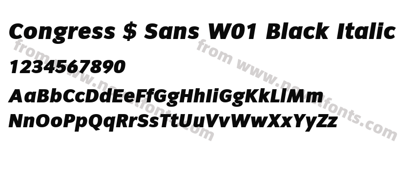 Congress $ Sans W01 Black ItalicPreview