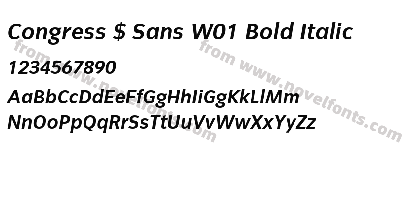 Congress $ Sans W01 Bold ItalicPreview