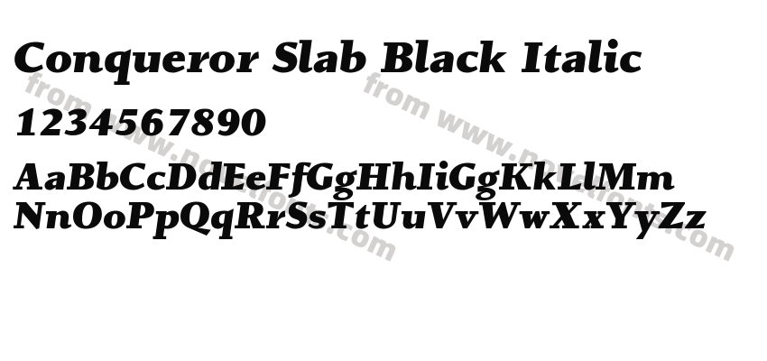 Conqueror Slab Black ItalicPreview