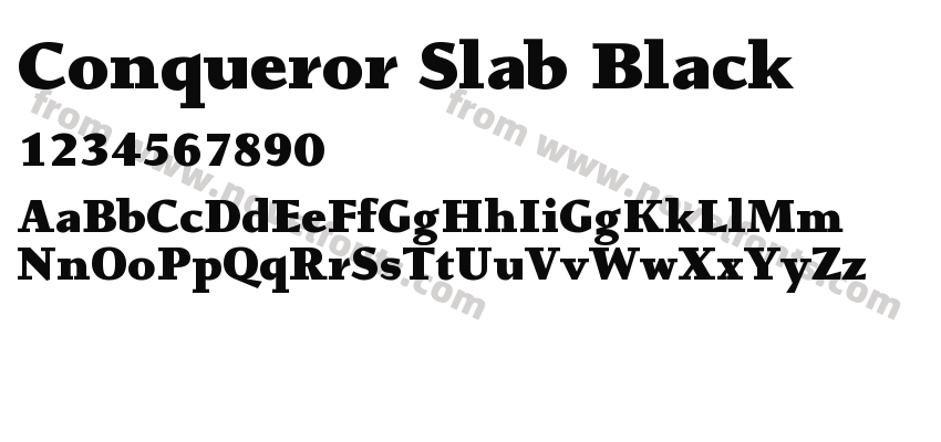 Conqueror Slab BlackPreview