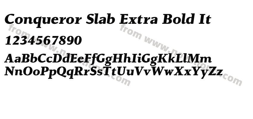Conqueror Slab Extra Bold ItPreview