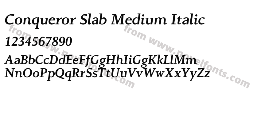 Conqueror Slab Medium ItalicPreview
