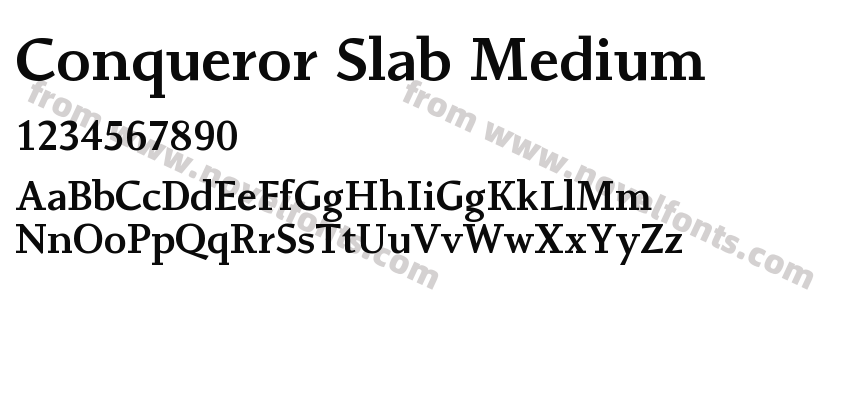 Conqueror Slab MediumPreview