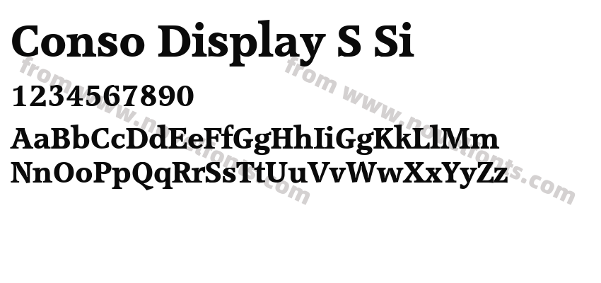 Conso Display S SiPreview