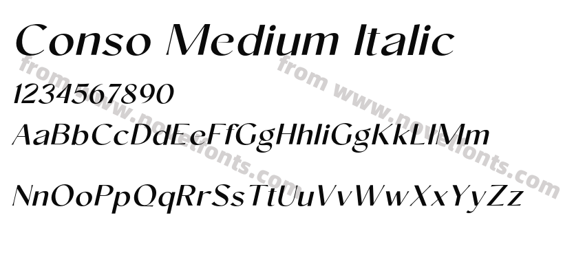 Conso Medium ItalicPreview